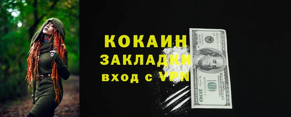 мдпв Ладушкин