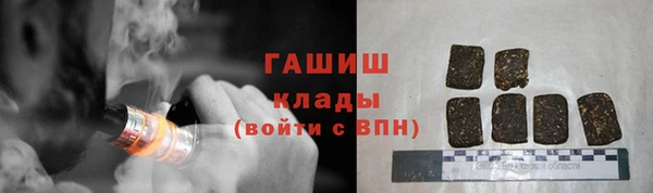 мдпв Ладушкин