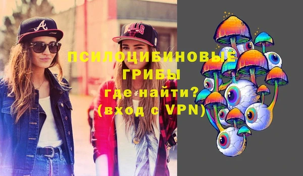 мдпв Ладушкин