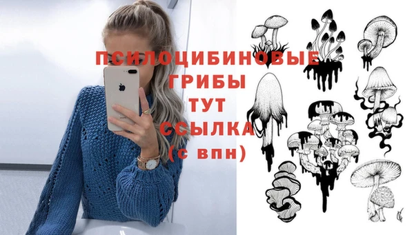 гашик Лихославль