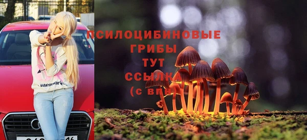 гашик Лихославль