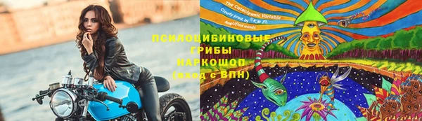 сатива Лабытнанги