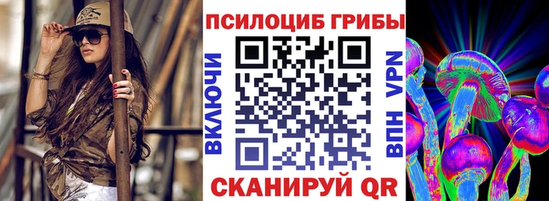 Псилоцибиновые грибы мицелий  Купить где  Тетюши 
